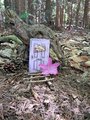 Lila Holztür mit der Aufschrift „Villa Helga“,angebracht an einer alten, abgestorbenen Wurzel