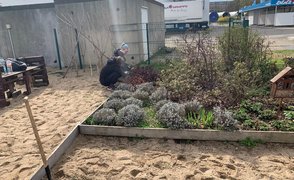 Blumenbeete bereinigen Blumenbeete bereinigen
