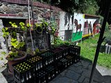 Foto: Mehrere Getränkekästen im BTZ-Garten