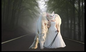 Teaserbild: Person in Brautkleid mit Katzenkopf mit weißem Pferd