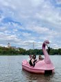 Foto: Drei Personen entspannen in einem pinken Flamingo-Tretboot auf dem See, im Hintergrund ein historisches Gebäude und ein bunt gestrichener Schornstein.