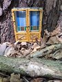 Gelbe Wichteltür mit zwei Flügeln und Glasfenstern am Fuße eines Baumes