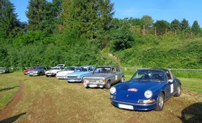 Oldtimer-Autos auf der Wiese