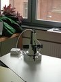 Foto: Auf einem Schreibtisch steht der Roboterarm, dahinter Bürofenster und eine Pflanze. 