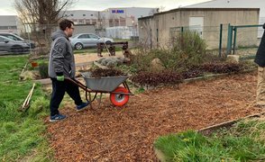 Entsorgung von Gartenabfällen