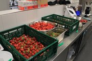 Foto: Auf dem Foto sind Körbe und Schüsseln mit Erdbeeren gefüllt zu sehen. Diese stehen auf einer Edelstahloberfläche in der Schulungsküche des BTZ. Im Hintergrund stehen viele Packungen Gelierzucker.