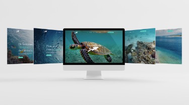 Abschlussarbeit: Website-Gestaltung Verschiedene Ansichten einer Website für eine Tauchschule in Indonesien: Die Abschlussarbeit des Azubi Mediengestalter.
