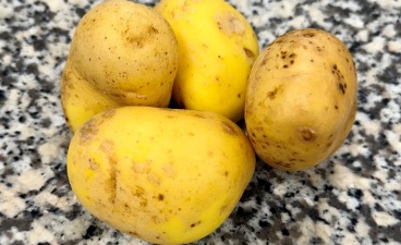 Kartoffeln Auf dem Foto sind 4 Kartoffeln zu sehen. diese liegen