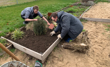 Bereinigung der Blumenbeete